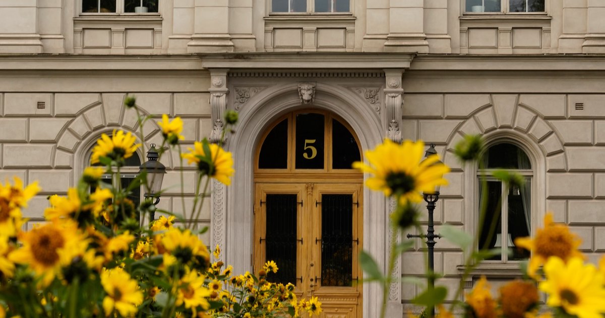 Szkoła podstawowa nr 5: charakterystyka i klasy